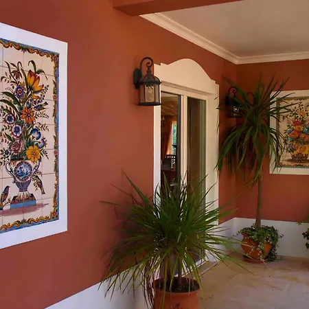 Villa Vida Nova Моншики